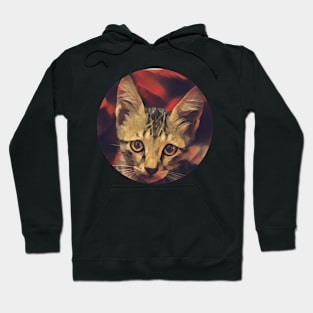 Alert floppy cat Hoodie